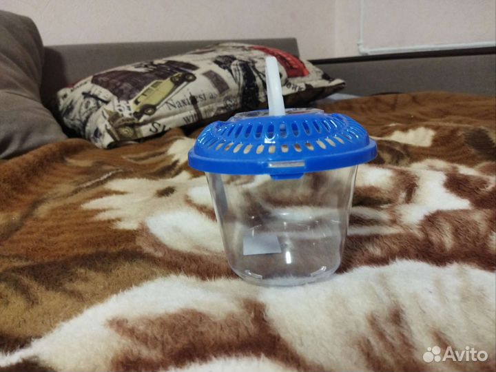 Переноска для грызунов