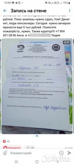 Котику помогите