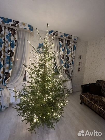 Шторы продаю комплект и тюль