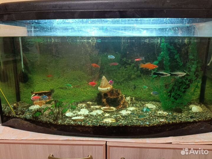 Аквариум с рыбками на тумбочке
