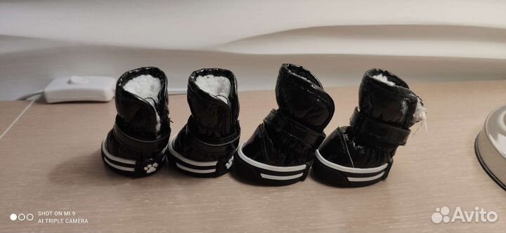 Обувь для маленькой собачки