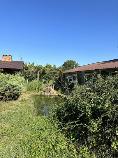 Участок 1,37 га (ИЖС)