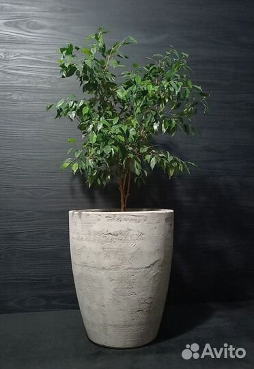 Кашпо, Вазоны, Горшки под заказ из бетона