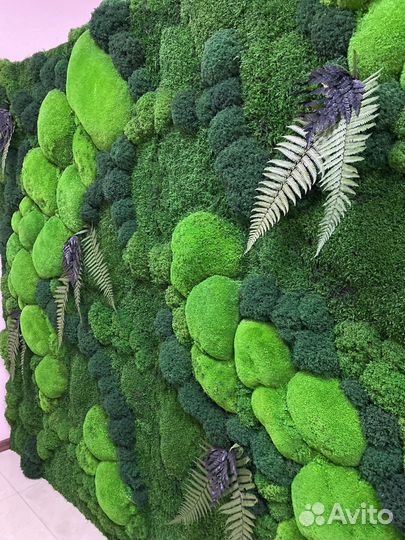 Стабилизированный Мох.Озеленение.Фитостена.Декор