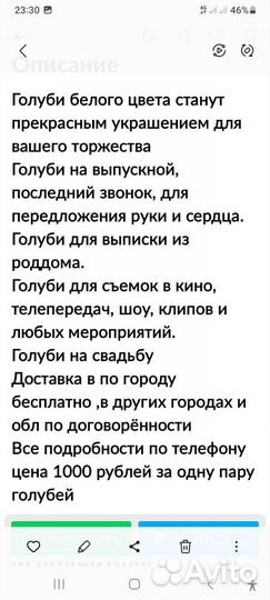 Продажа голубей