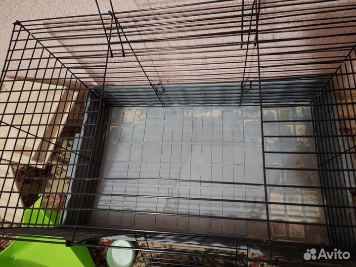 Клетка для грызунов (кролики, морские свинки) бу