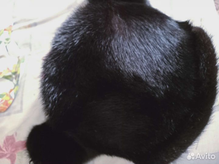 Шапка ушанка