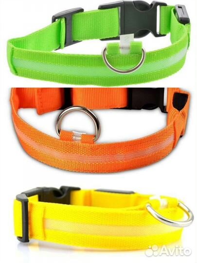 Светящийся ощейник