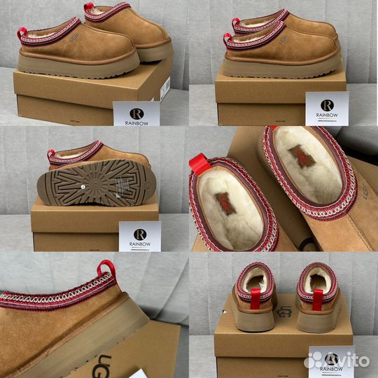 Женские Тапочки Ugg Tazz + 12 расцветок