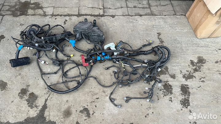 Проводка моторного отсека Nissan Qashqai J11