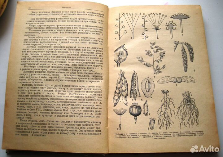 Определитель растений 1935 год антиквариат