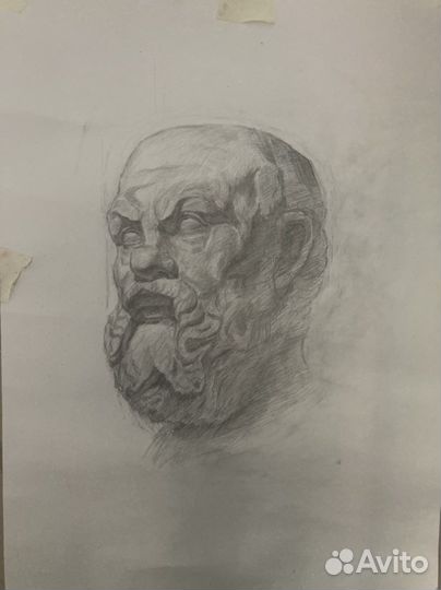 Рисунок Бюст. Копия