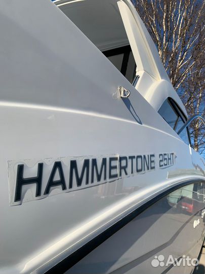 Катер Hammertone 25 HT