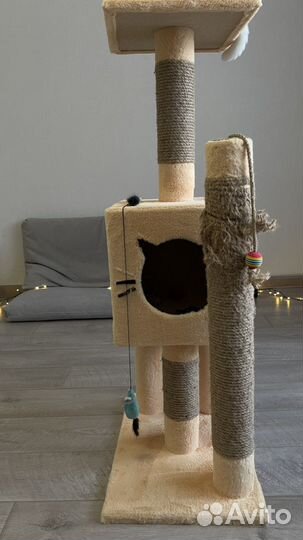 Кошачий дом
