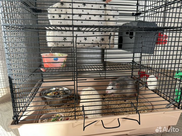 Клетка для грызунов большая