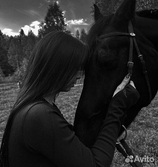 Тренировки по верховой езде и выезды на прогулки