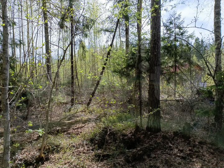 Участок 14 сот. (ИЖС)