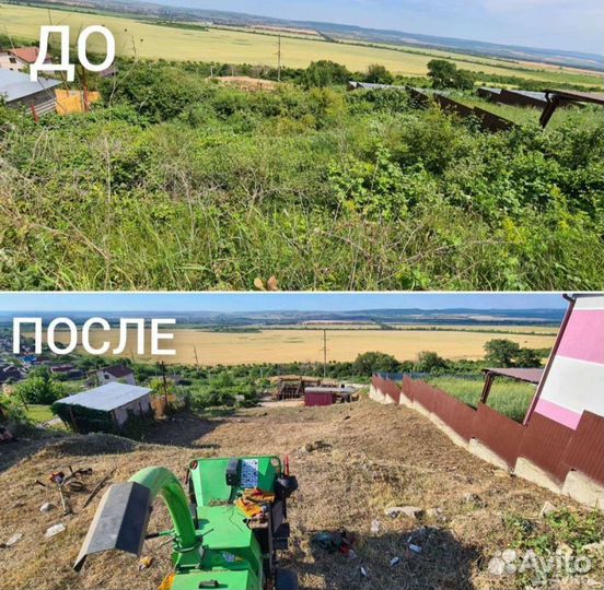 Расчистка участка, Спил деревьев