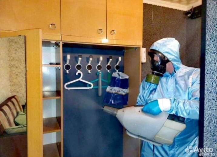 Уничтожение тараканов клопов блох клещей мышей