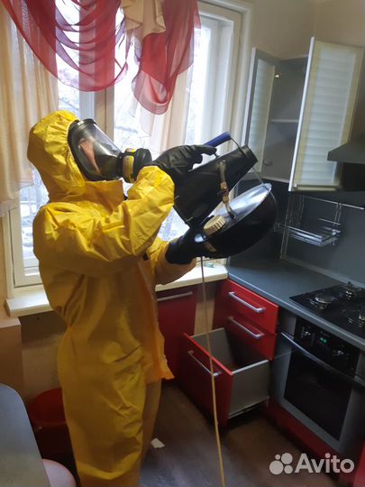 Уничтожение клопов тараканов муравьев блох клещей