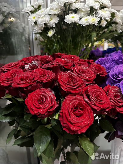 Синяя Роза крашеная Роза