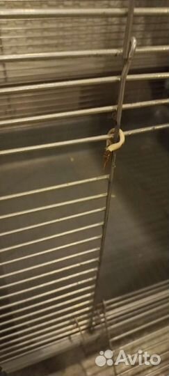 Клетка для грызунов