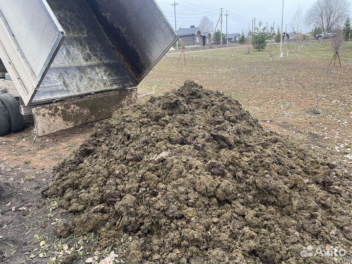 Навоз коровий, перегной