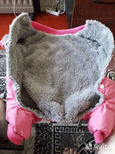 Одежда для собак