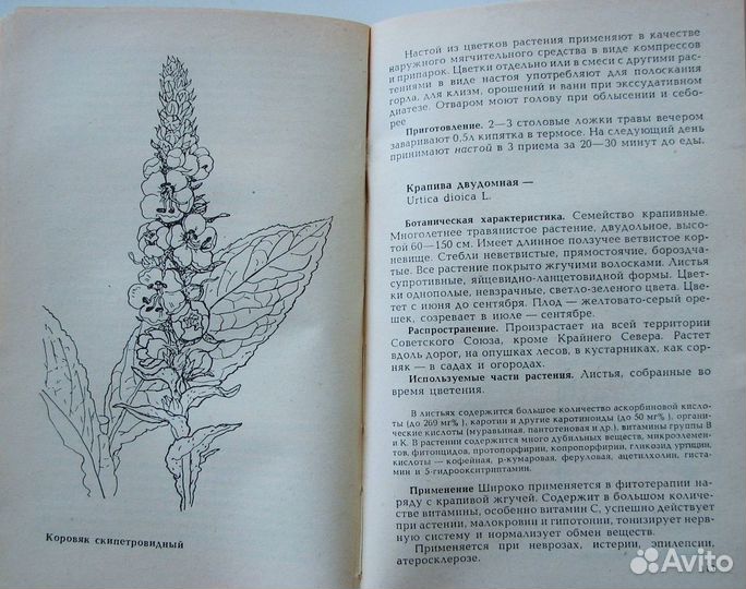 Лекарственные растения в медицине и в быту