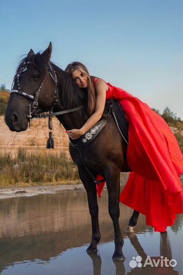 Фотосессия с лошадью, лошади на мероприятия