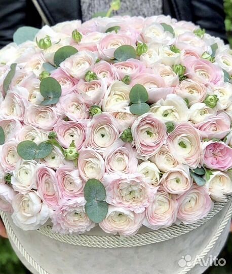 Ранункулюс цветы