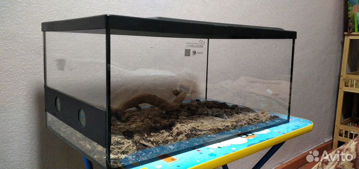 Стеклянный террариум для рептилий или насекомых