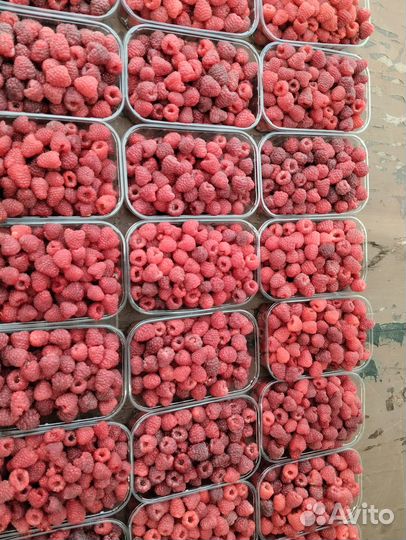 Продаю малину