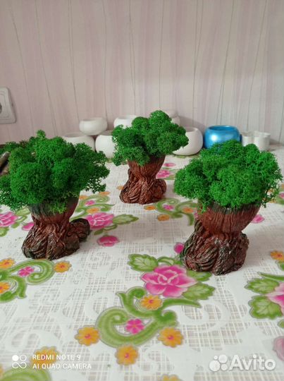 Кашпо со стабилизированным мхом 