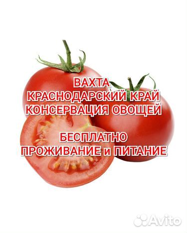 Консервация овощей вахта с проживанием питанием