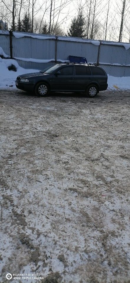 Skoda Octavia: фото владельца