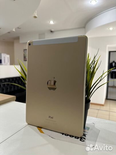Apple iPad Air 2 16Gb Wi-Fi+Cell Gold