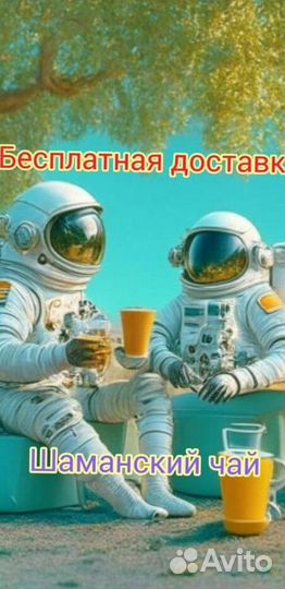 Чай пуэр « Космос шаманов » шмн14683