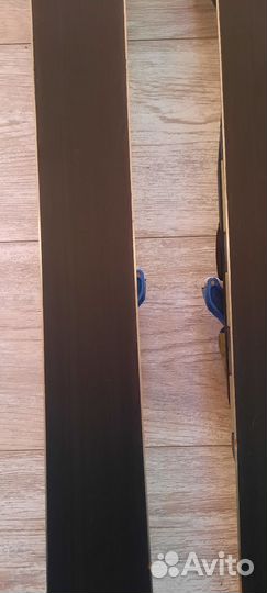 Горные лыжи