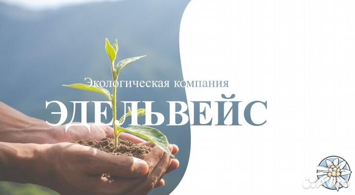 Услуги эколога. Экологическая отчетность