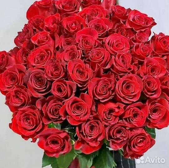 Высокие розы 150 160 170 180 190см доставка Москва