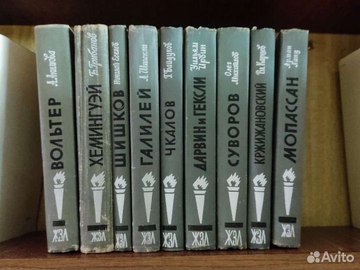 Книги серии жзл, Чкалов, Вольтер, Суворов и др