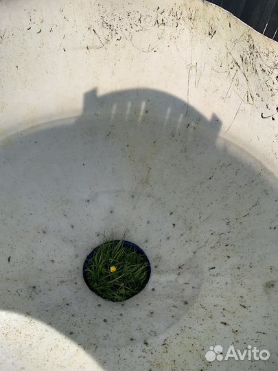 Бак для воды пластиковый 3 куба