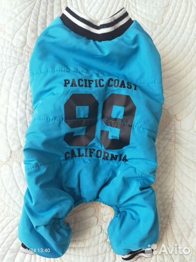 Одежда для маленькой собачки