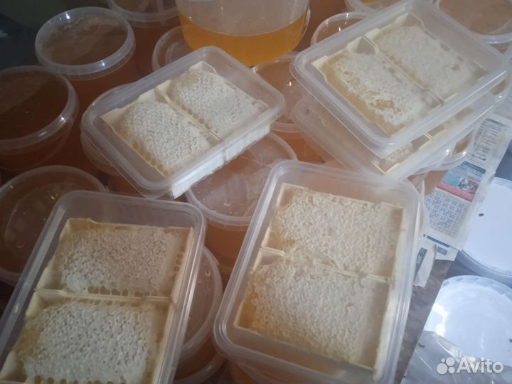 Мёд урожая 2023 года