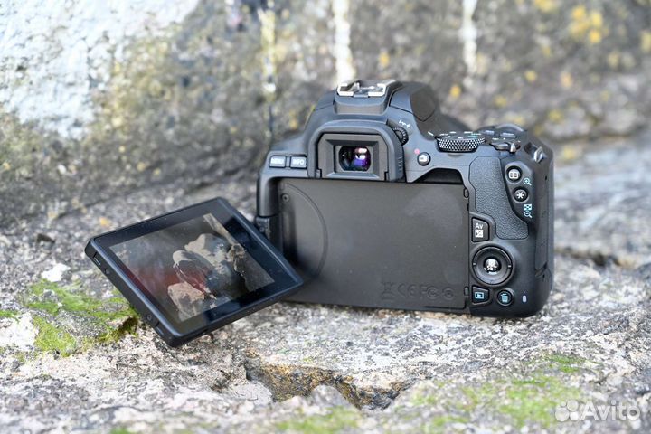 Зеркальный фотоаппарат canon eos250d