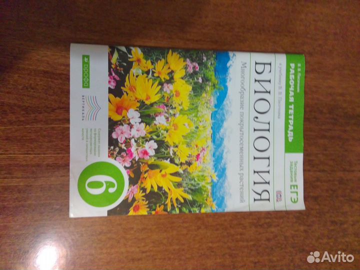 Рабочие тетради 6; 3; 4; классы