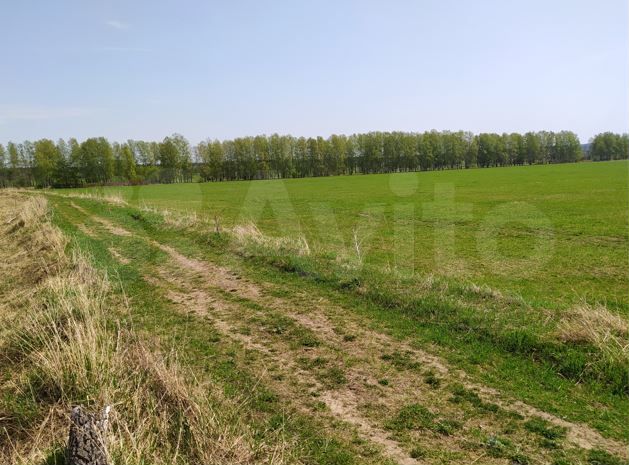 Участок 5,41 га (ИЖС)