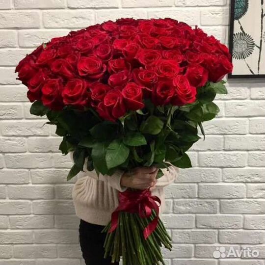 Розы гиганты