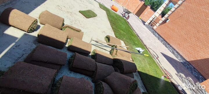 Рулонный газон под ключ/Полив